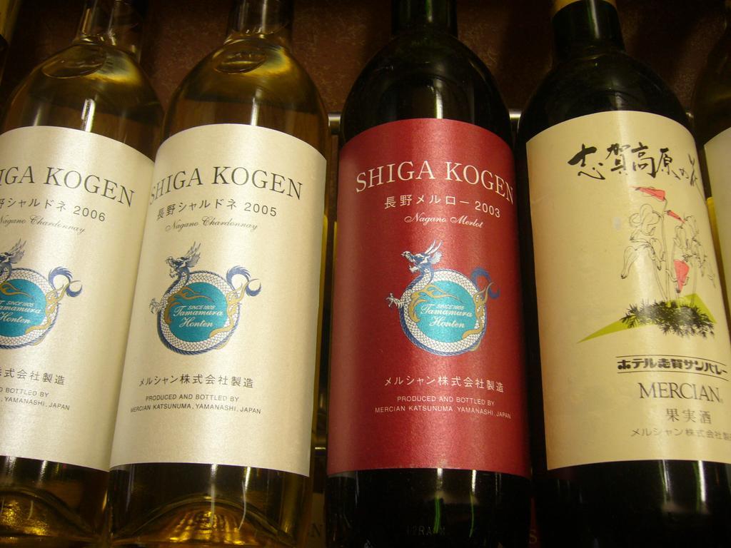 Shiga Kogen Hotel Shiga Sunvalley Yamanouchi  Ngoại thất bức ảnh