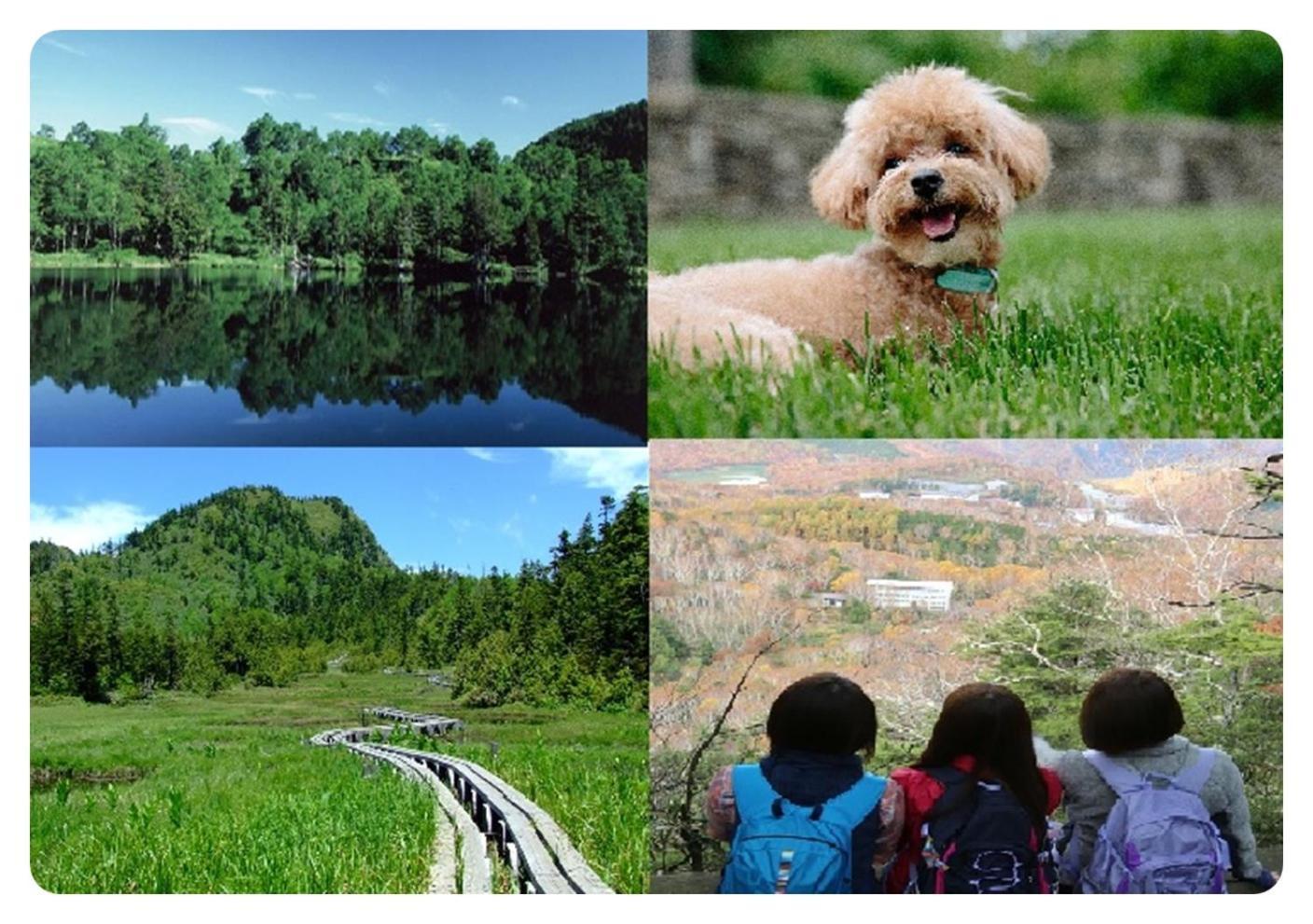 Shiga Kogen Hotel Shiga Sunvalley Yamanouchi  Ngoại thất bức ảnh