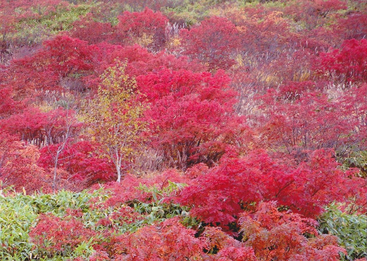 Shiga Kogen Hotel Shiga Sunvalley Yamanouchi  Ngoại thất bức ảnh